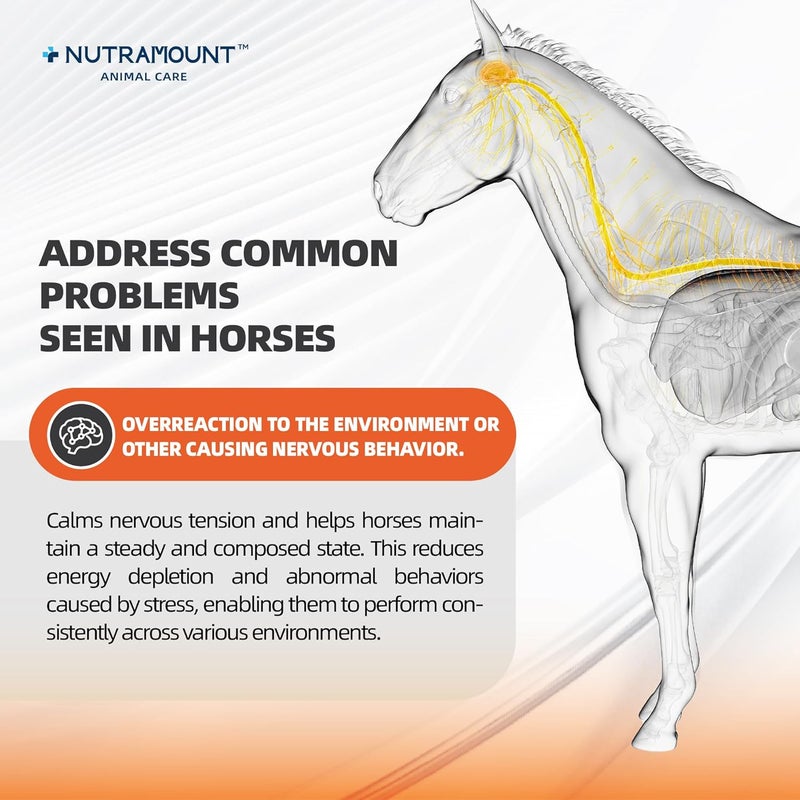 Nutramount Horse Calming Supplement Powder – Supports Focus, Relaxation & Performance | Equine Taurine & Magnesium Formula | 15-Day Supply - Image 4